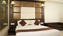 Hotel Sai Residency-Royal Suite